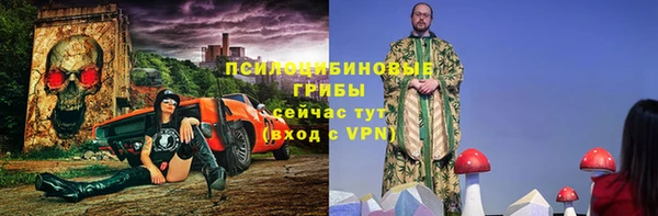 хмурый Алексин